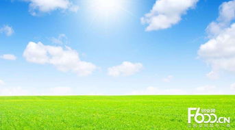 睿容空氣凈化器加盟指南 加盟費(fèi)、官網(wǎng)、條件流程及政策支持解析